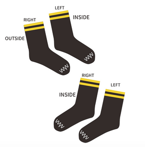 APS 2022 socks